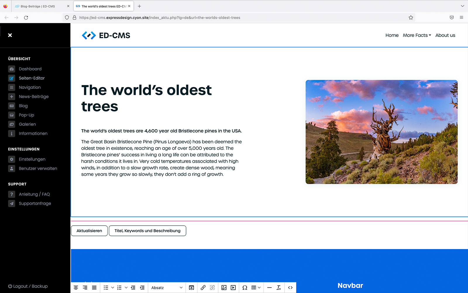 ED-CMS | Content Management System für deine Website Thun Bern Schweiz